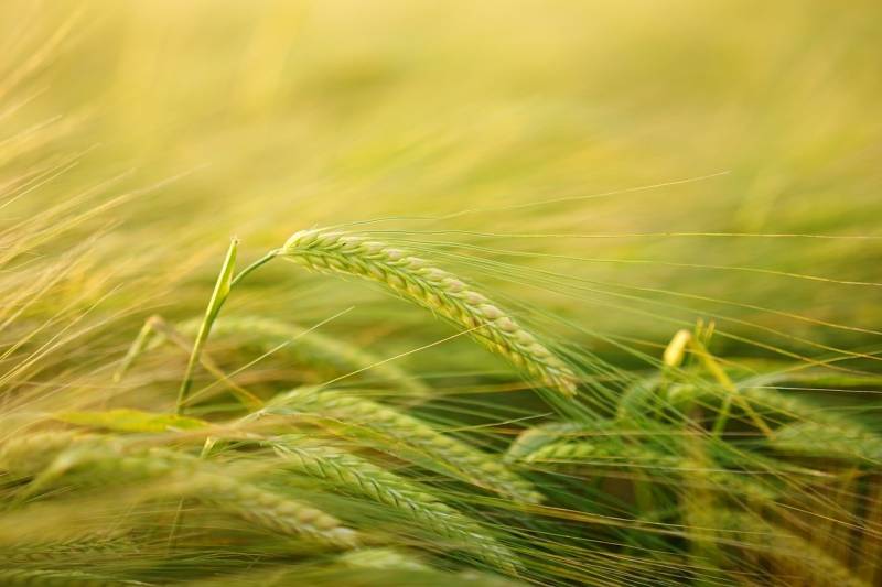 Trouver spécialiste de la biodiversité Le Thor (84) Valagro pour les agriculteurs