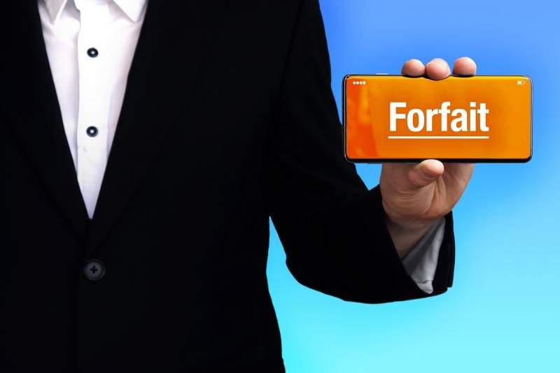 fair use forfait professionnel